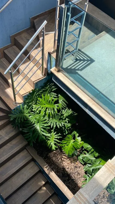 Escada de madeira com jardim de plantas tropicais