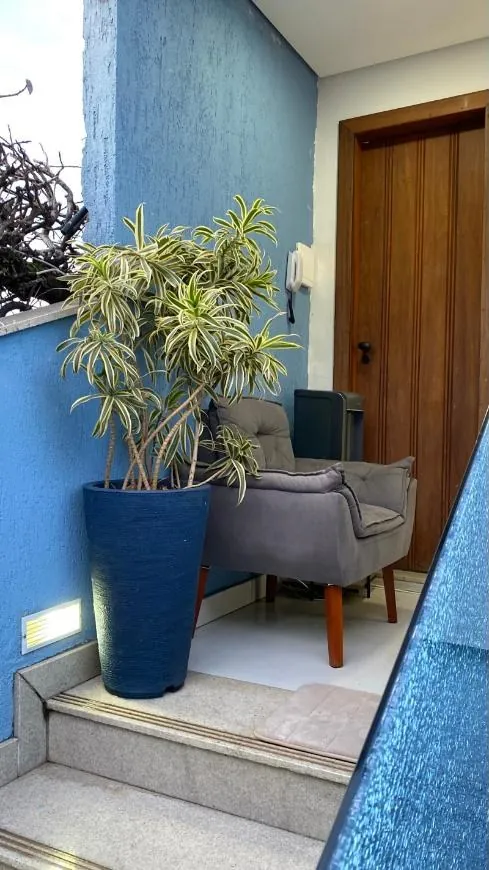 Poltrona e planta na entrada do estúdio, ao lado da porta de madeira
